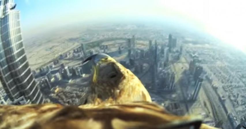 World Record: Eagle Flight from Burj Khalifa