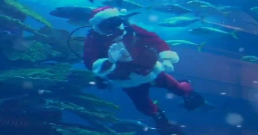 Santa Claus spotted in Dubai Aquarium