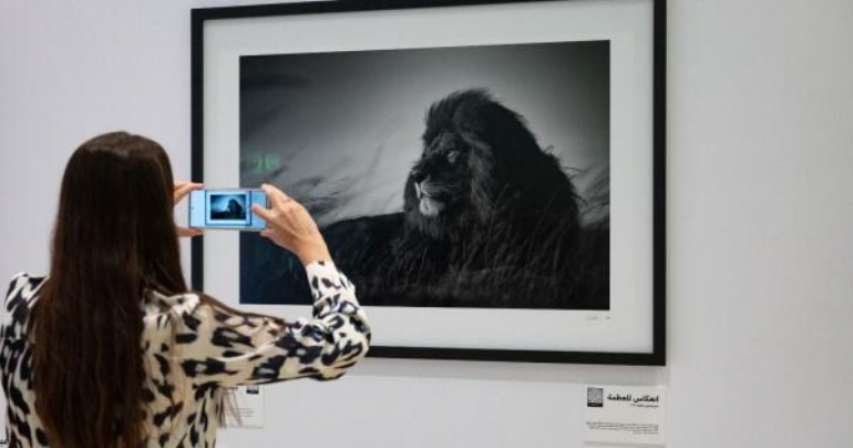 Dubai airport comes alive with striking wildlife photos