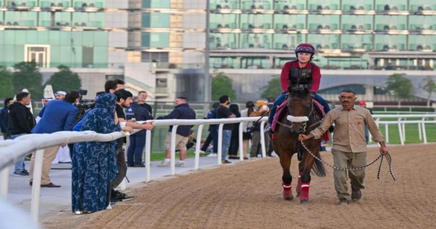 Why Dubai has become a favourite training ground for international horses