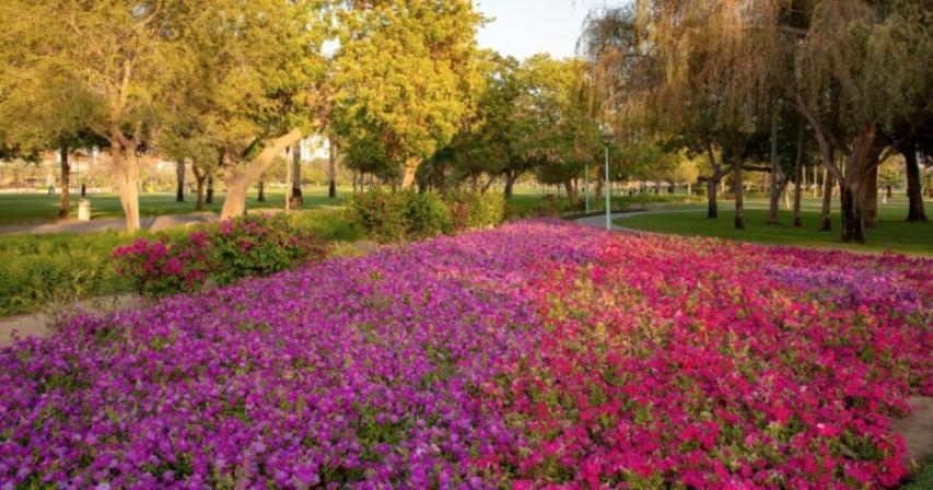 Dubai announces New Year timings for public parks, attractions