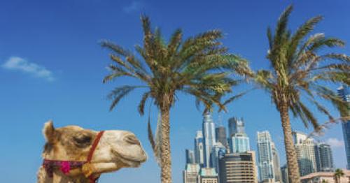 10 things to know before you arrive in Dubai