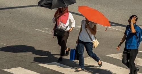 Here's the latest weather update across UAE