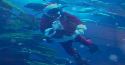 Santa Claus spotted in Dubai Aquarium