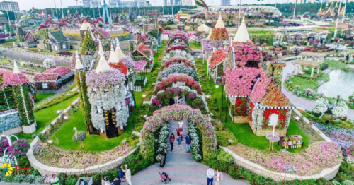 Dubai Miracle Garden: A Floral Paradise in the Desert