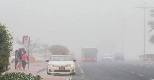 UAE weather: Red, yellow alerts issued for fog; partly cloudy skies ahead