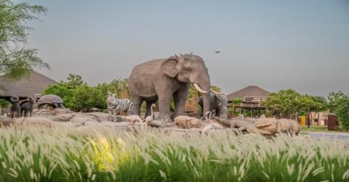 Dubai Safari extends park timings for night safaris for a limited period