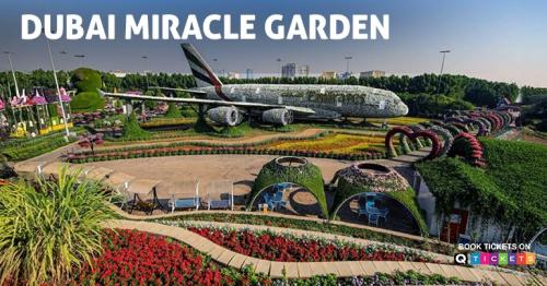 Discover the Beauty of Dubai Miracle Garden: A Floral Wonderland