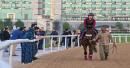 Why Dubai has become a favourite training ground for international horses